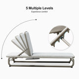 PURPLE LEAF Outdoor Patio Chaise Lounge Chairs with Thick Cushion Gray
