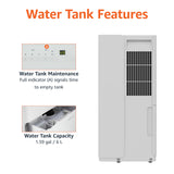 Amazon Basics 50-Pint Large Dehumidifier with Humidity Control, Timer, Auto-Defrost, Overflow Protection, Energy Star Certified, Washable Filter for Rooms up to 4000 SFT, White
