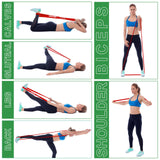 WIKDAY Resistance Bands, Pull Up Assistance Bands, Workout Bands, Heavy Exercise Bands Set with Door Anchor, Elastic Bands for Body Stretching, Training at Home/Gym for Men & Women
