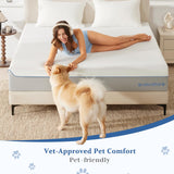 Somnature King Mattress in a Box, 14 Inch Cooling Gel Memory Foam Mattress for Pressure Relief & Deep Sleep, Medium Firm with Motion Isolation, CertiPUR-US Certified, Fiberglass Free