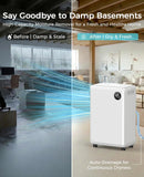 PLUSCENT 32 Pint Dehumidifier for Basement, 2500 sq.ft Dehumidifiers for Home with Drain Hose, 3 Modes, Auto Defrost, 24H Timer, Quiet Smart Humidity Control for Large Room, Bedroom, Bathroom, RV