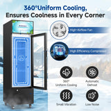 BODEGACOOLER Beverage Refrigerator and Cooler, 6.34 Cu. Ft Commercial Refrigerators for Drink, Beer, Tall Commercial Cooler