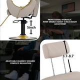 KIGOTY Salon Barber Chair, Reclining Barber Chair, Styling Chair, Height Adjustable Hair Salon Chairs for Hair Stylist, 360 Swivel Braiding Hairdresser Chair for Barbershop, Spa Equipment (1, Grey)