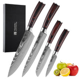 Kazutoku 4 Piece Kitchen Knife Set, High Carbon Stainless Steel Professional Chef Knife Set with Ultra Sharp Blade, Sharp Knives Set with Ergonomic Pakkawood Handle
