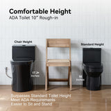 HOROW T0338WB10 One Piece Toilet with ADA Chair Height 17.3", Dual Flush