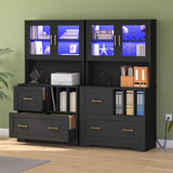 HOOBRO 2 Drawer File Cabinet with Charging Station, LED Lights, File Holder Organizer, Fits Letter, Legal, A4 Size, Vertical, for Home Office, Black