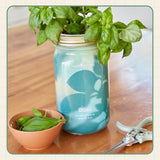 Modern Sprout Mason Jar Herb Garden Kit Indoor