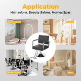 Marsyyds Salon Barber Chair, 360° Degrees Multi-Function Salon Chair for Hair Stylist 440lbs Capacity Adjustable Beauty Spa Hair Styling Chair w/Footrest for Barber Shops & Homes (Black+Silver)