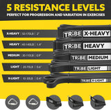 Long Resistance Bands for Working Out Men and Women - Set of 5 Pull-Up Bands, Rubber Handles and Door Anchor - Workout Bands Resistance for Men - Exercise Bands Resistance Bands Set