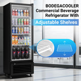 BODEGACOOLER Commercial Beverage Refrigerator, 290L Display Fridge with Soft LED Light, 264 Cans & 120 Bottles Commercial Merchandiser Refrigerator