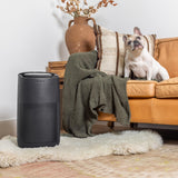 Sans True HEPA 13 Air Purifier for Extra Large Rooms (1560 sq ft) | UV-C Light Layer & Carbon Odor Absorption | Quiet 35dB Auto-Mode, Captures Smoke, Dust & Allergens (Midnight)