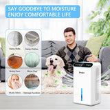 Dehumidifiers, Dehumidifier for Home (85 OZ, 800 sq.ft) Quiet Small Dehumidifier for Bedroom Bathroom Basement with Drain Hose, 3 Gear Timer, Sleep Mode, Auto Shut Off, 7 Color Ambient Light