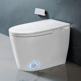 Luxury Smart Toilet with Bidet Built in, Auto Open Close, Foam Shield