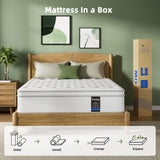 Oliodys Queen Mattress, 14 Inch Hybrid Matress with Memory Foam & Individual Pocket Springs,Fiberglass Free, Soft and Breathable, Medium Feel