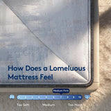 Lomeluous King Mattress, 14” King Size Mattress Hybrid with 4 Layers Premium Gel Memory Foam and Edge Support 7-Zone Pocket Springs, Motion Isolation & Pressure Relief, Medium Firm Comfort in a Box
