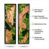 Handmade Preserved Moss Wall Art with Solid Cedar Wood Frame, 100% Real Moss Wall Decor, Maintenance-Free Greenery Art for Modern Office & Home, Unique Vertical Nature Art Gift 1 Piece, 14" x 30"