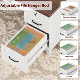 Executive Desk 60 Inch, Wooden Home Office Desk with Adjustable Storage Cabinet, Built-in Charging Port