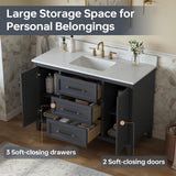 DELUXE LIVING 48 Inch Bathroom Vanity with Sink, Fully Assembled, Gray