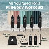 Retrospec Train Resistance Bands Set (5pc) Workout Bands w/Handles, Door Anchor, Carry Bag for Women & Men, Smoothie Retrospec
