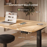 Desktronic HomeOne Standing Desk 60x30 — Ergonomic Sit Stand Home Office Desk, Made in Europe, Electric Dual Motor Height Adjustable, USB & USB-C Charging, Wobble-Free, Touchscreen, 3 Memory Presets