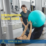 ProBody Pilates Exercise Ball - Multiple Sizes Gym Grade Balance Ball for Fitness, Workout, Pregnancy & Physical Therapy, Stability Yoga Ball Chair (Silver, 65 cm)