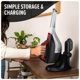 Dirt Devil 12V Whole Home Cordless Handheld Vacuum, with Multi-Surface Tool Kit, Powerful Suction and Lightweight, BD40200V, Black