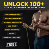 Long Resistance Bands for Working Out Men and Women - Set of 5 Pull-Up Bands, Rubber Handles and Door Anchor - Workout Bands Resistance for Men - Exercise Bands Resistance Bands Set