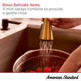 American Standard Aspirations Semi-Pro Kitchen Faucet 1.8 GPM, Brushed Gold