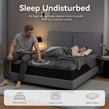 Nordhive 12 Inch Queen Mattress, Charcoal Cooling Gel Memory Foam, Green Tea Support Foam, Medium Firm Feel, Support for Couples and Warm Sleepers, Motion Isolation, Queen Bed in a Box