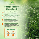 Outsidepride Sheeps Fine Fescue Lawn Grass Seed - 50 Lbs. Perennial Heat & Drought Tolerant Dense, Traffic-Resistant Turf for Shaded Environments w/OptiGrowth Coating for Seed Enhancement