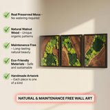 Moss Wall Decor Preserved Moss Art in Solid Cedar Wood Frame | Natural Wooden Wall Decor for Living Room, Office, Home | Zero Maintenance Gift for Nature Lovers 3 Pieces