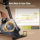 Recumbent Exercise Bike for Adult and Seniors,LUXECYCLES Stationary Bike,400 lbs Capacity,16-level Magnetic Resistance and Comfortable Adjust Seat
