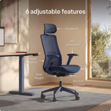 Desktronic Ergonomic Office Chair — Adjustable Desk Chair with Lumbar Support, Headrest, Armrests, Breathable Mesh Back, Height Adjustment, Comfortable Home Office Chair for Long Hours