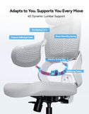 SIHOO B100 SE Ergonomic Office Chair, Desk Chair with Lumbar Support