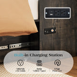 LUXOAK Full Murphy Cabinet Bed with with Storage & Charging Station