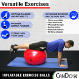 CanDo Inflatable Exercise Ball - Blue 11.8", Durable Extra Thick Non-Slip Stability Ball for Core Workouts, Yoga, Pilates, Active Seating, Physical Therapy, Pregnancy, Home Gym, Flexibility CanDo