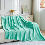 NEWCOSPLAY Super Soft Throw Blanket Mint Green Premium Silky Flannel Fleece Leaves Pattern Lightweight Bed Blanket All Season Use (Mint Green, Throw(50"x60"))