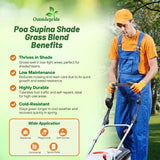 Outsidepride 25 Lbs Supranova Shade Grass Mix of POA Supina & Rough Bluegrass - Shade Tolerant Grass Seed for Golf Courses, Athletic Fields, & Outdoor Lawns, OptiGrowth Coated for Seed Enhancement
