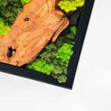 Handmade Preserved Moss Wall Art with Solid Cedar Wood Frame, 100% Real Moss Wall Decor, Maintenance-Free Greenery Art for Modern Office & Home, Unique Vertical Nature Art Gift 1 Piece, 20" x 55"