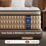 BedStory Firm Double Mattress 12 inch - Pain-Relieving Hybrid Mattress for Extra Lumbar & Hip Support - No Sagging Bed in a Box - 365-Night Trial - No Odor, Fiberglass-Free, CertiPUR-US Certified