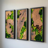 Wood and Moss Wall Art, Single Panel Natural Greenery Decor for Small Spaces, Rustic Framed Forest Wall Hanging, Maintenance-Free Biophilic Art