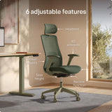 Desktronic Ergonomic Office Chair — Adjustable Desk Chair with Lumbar Support, Headrest, Armrests, Breathable Mesh Back, Height Adjustment, Comfortable Home Office Chair for Long Hours
