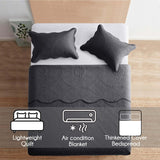 MOONLIGHT20015 10 Pack Queen Quilt Bedding Set (90" x 96") - Bulk Wholesale for Hotels, Guest Bedroom & Airbnbs - Lightweight Microfiber Reversible Floral Embossed Quilts Bedspreads (Charcoal)