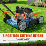 SENIX 144 cc Gas Lawn Mower, 20 inch 4-Cycle Push Mower, Side Discharge, 5 Position Cutting Height Adjustment, Low Noise & Fuel-Efficient for Lawn, Yard and Garden (LSPG-L5)