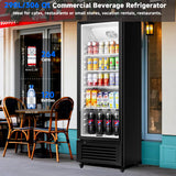 BODEGACOOLER Beverage Refrigerator, 290L/306 Qt Commercial Refrigerator For Kitchen, Home,Office and Garage, 264 Cans & 120 Bottles