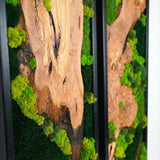 Handmade Preserved Moss Wall Art with Solid Cedar Wood Frame, 100% Real Moss Wall Decor, Maintenance-Free Greenery Art for Modern Office & Home, Unique Vertical Nature Art Gift 1 Piece, 20" x 60"