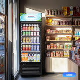 BODEGACOOLER Commercial Beverage Refrigerator and Cooler, 10.0 Cu.Ft Commercial Merchandiser Refrigerator with 240 cans & 120 bottles.