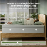 Oliodys Queen Mattress, 14 Inch Hybrid Matress with Memory Foam & Individual Pocket Springs,Fiberglass Free, Soft and Breathable, Medium Feel