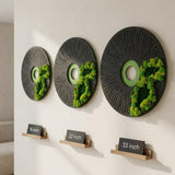 Round Moss Wall Art Set of 3 Preserved Moss Decor Natural Wooden Wall Decor for Living Room Office Home Zero Maintenance Botanical Art