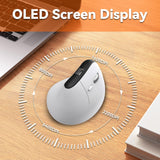 Wireless Ergonomic Vertical Mouse with OLED Screen Display for Right Hand (White) Eelexa